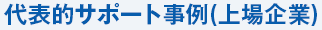 代表的サポート企業