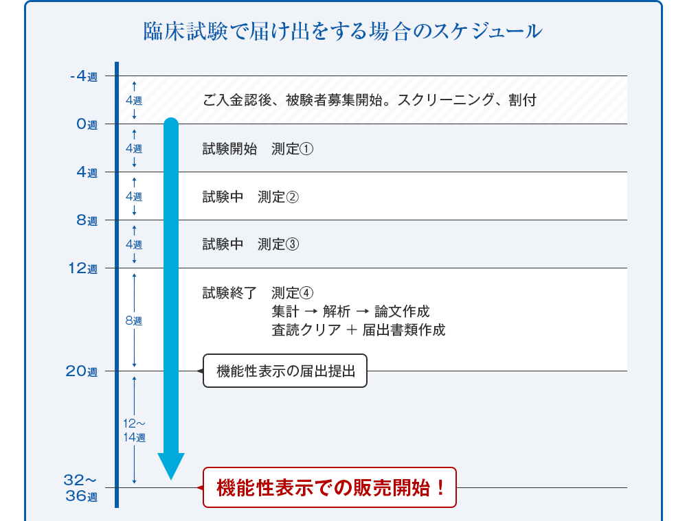 臨床試験で届け出をする場合のスケジュール