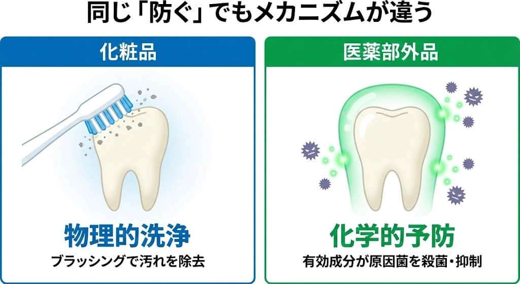化粧品と医薬部外品による歯磨き粉の表現範囲の違い