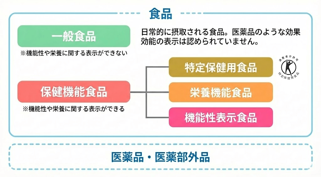 一般食品と健康食品・保健機能食品の違い
