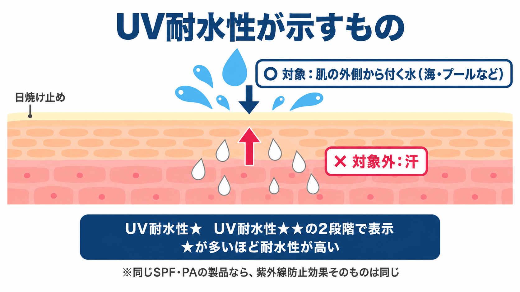 UV耐水性が示すもの